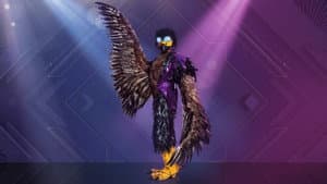 The Masked Singer Austria — foto 12