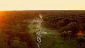 Pantanal: A Boa Inocência de Nossas Origens — foto 1