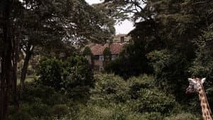 sr — foto 2