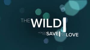 The Wild — foto 1