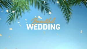 Una Boda y Otros Desastres — foto 6