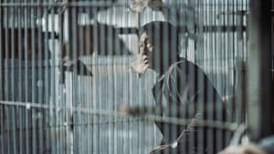 一家子兒咕咕叫 — foto 1