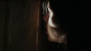 Farha — foto 7