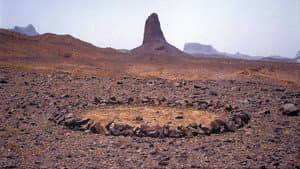 Stones and Flies: Richard Long in the Sahara — foto 4