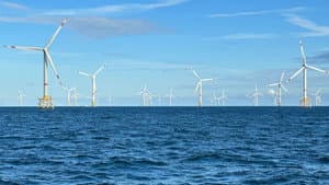 Windparks im Meer - Chance oder Risiko für die Natur? — foto 1