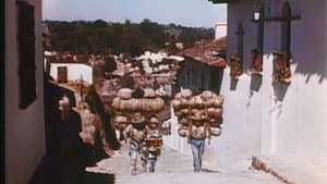 Land of the Mayas — foto 1