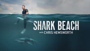 Playa de tiburones con Chris Hemsworth — foto 5