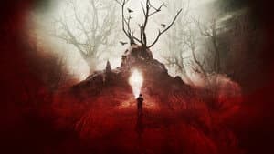 Rootwood — foto 2