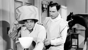 Abbott y Costello: Dos peatones a caballo — foto 3