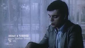 Shirat e vjeshtës — foto 1