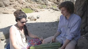 Crystal Fairy y el cactus mágico — foto 1