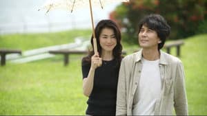 象の背中 — foto 1