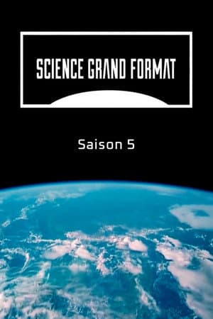 Temporada 5