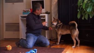 Episodio 2