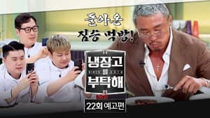 Episodio 22