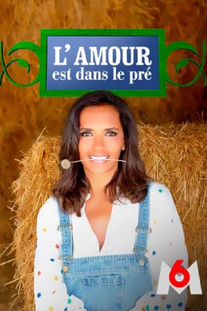 Temporada 10