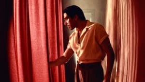 Narciso — foto 3