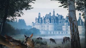 Chambord — foto 4