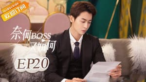 Episodio 20
