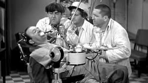 All the World's a Stooge — foto 1