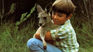 Skippy the Bush Kangaroo — foto 1