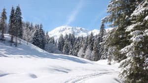 Weißblaue Wintergeschichten — foto 1