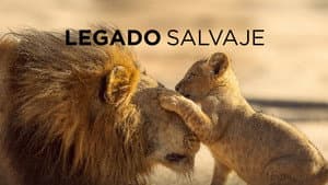 Legado Salvaje — foto 2