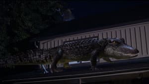Bad CGI Gator — foto 1