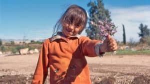 El color de los olivos — foto 1