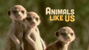 Animals Like Us — foto 4