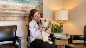 It's a Dog's Life with Bill Farmer — foto 3