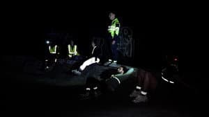 Blinkers — foto 1