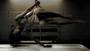 Danse Macabre — foto 3