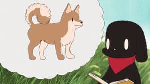 Episodio 13