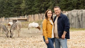 Un zoo pas comme les autres chez les grizzlis — foto 1