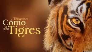 Crianza de tigres — foto 9