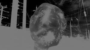 Ant Head — foto 1