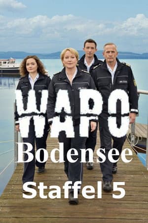 Temporada 5