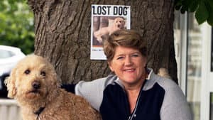 Lost Dog, Found Dog with Clare Balding — foto 1