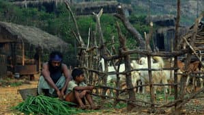 ഇയോബിന്‍റെ പുസ്തകം — foto 8