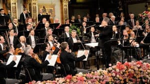 Neujahrskonzert der Wiener Philharmoniker 2018 — foto 6