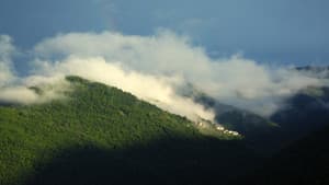 ciao Aracà — foto 1