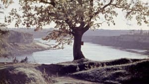 Ieraudzīt Staburagu — foto 2
