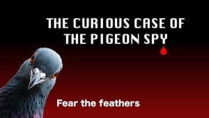 The Curious Case of the Pigeon Spy — foto 1