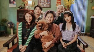 Gặp Lại Chị Bầu — foto 2