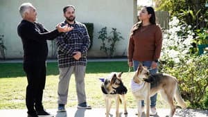 Episodio 6
