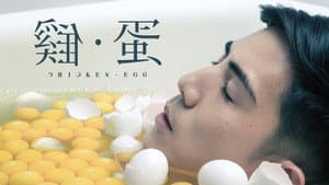 雞•蛋 — foto 2