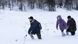 The Breaking Ice — foto 1
