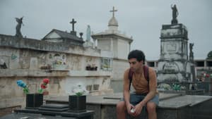 Besta do Ventre — foto 1
