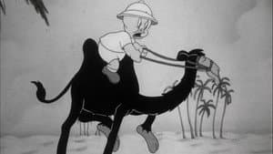 Porky in Egypt — foto 1